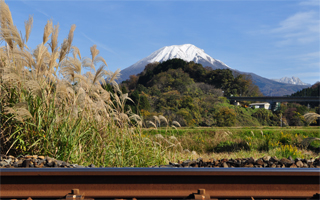 写真：大山